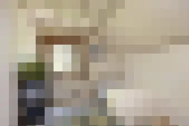 Kanaalweg N.Z. 1 Rossum thumbnail 33