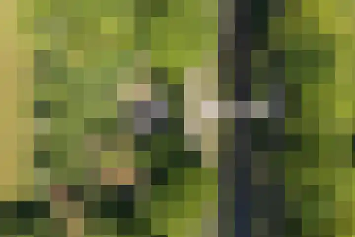 Kanaalweg N.Z. 1 Rossum thumbnail 36