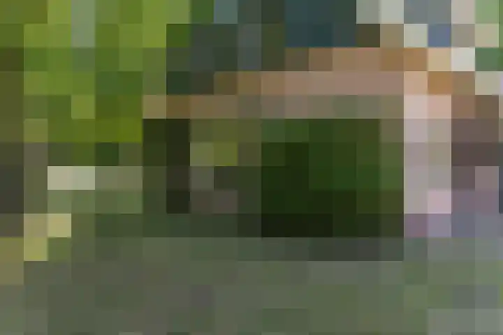 Kanaalweg N.Z. 1 Rossum thumbnail 37