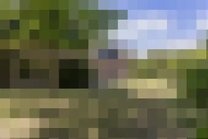 Kanaalweg N.Z. 1 Rossum thumbnail 38