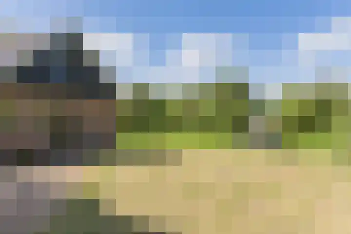 Kanaalweg N.Z. 1 Rossum thumbnail 39