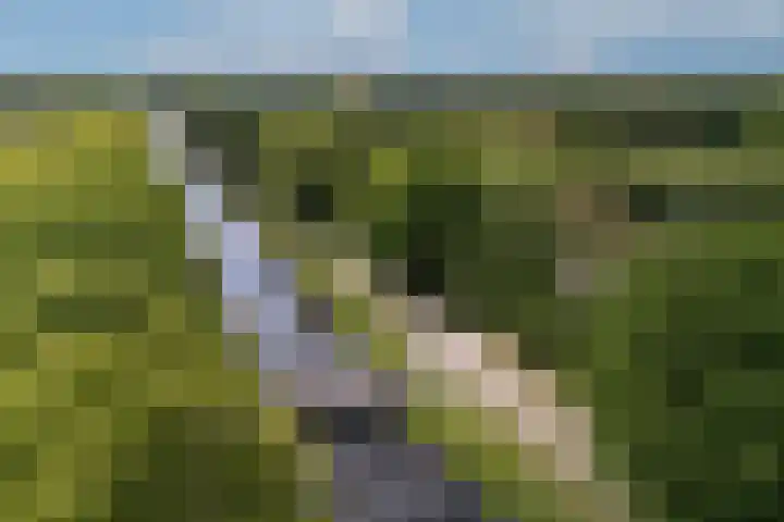Kanaalweg N.Z. 1 Rossum thumbnail 4