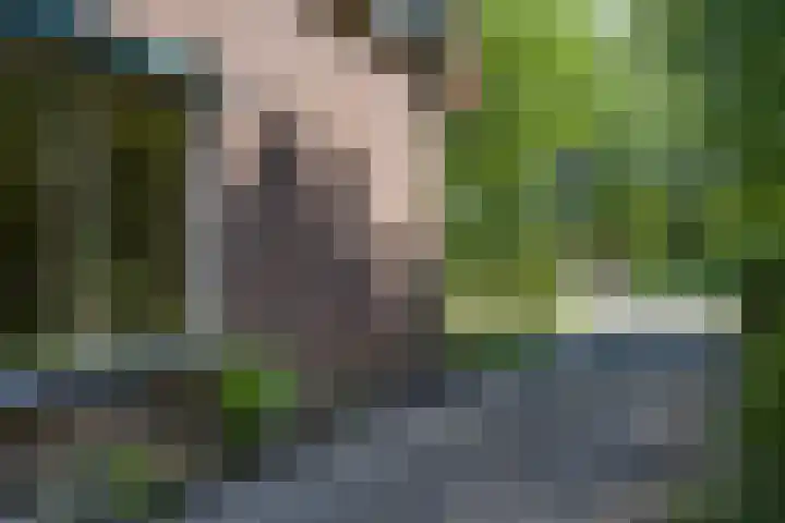 Kanaalweg N.Z. 1 Rossum thumbnail 40