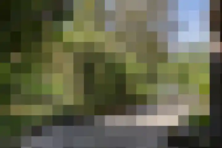 Kanaalweg N.Z. 1 Rossum thumbnail 41