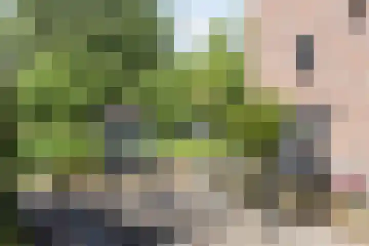 Kanaalweg N.Z. 1 Rossum thumbnail 42
