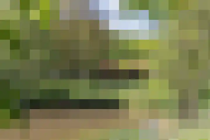 Kanaalweg N.Z. 1 Rossum thumbnail 43