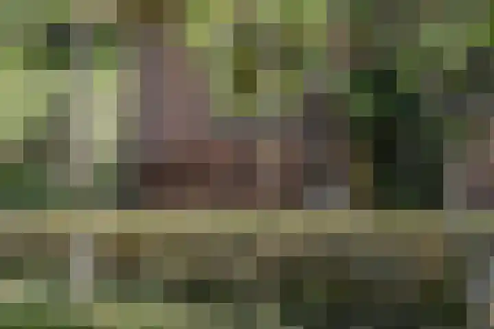 Kanaalweg N.Z. 1 Rossum thumbnail 44