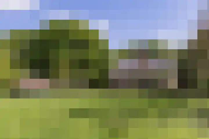 Kanaalweg N.Z. 1 Rossum thumbnail 45