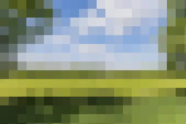 Kanaalweg N.Z. 1 Rossum thumbnail 46