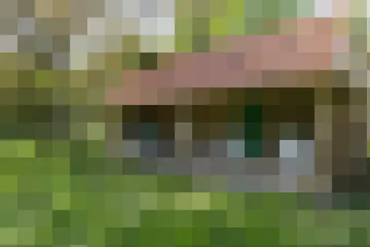 Kanaalweg N.Z. 1 Rossum thumbnail 47