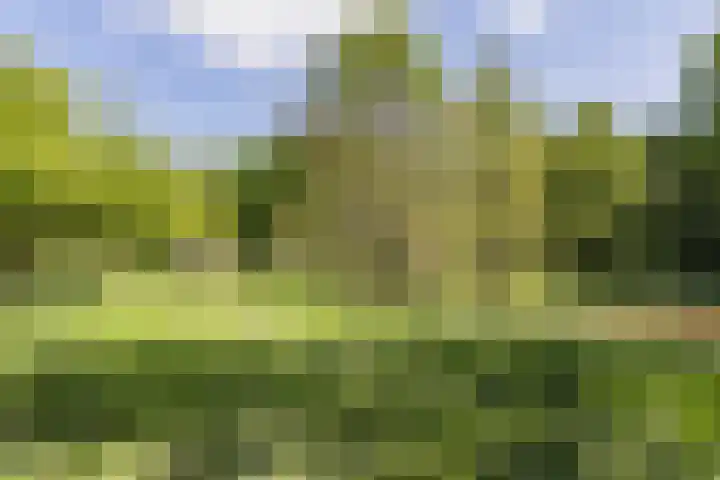 Kanaalweg N.Z. 1 Rossum thumbnail 49