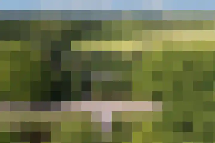 Kanaalweg N.Z. 1 Rossum thumbnail 5