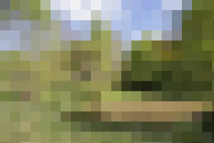 Kanaalweg N.Z. 1 Rossum thumbnail 50