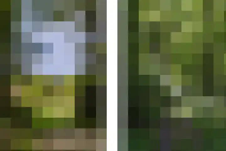 Kanaalweg N.Z. 1 Rossum thumbnail 51