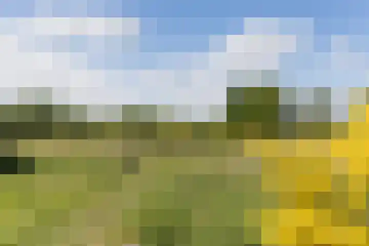 Kanaalweg N.Z. 1 Rossum thumbnail 52