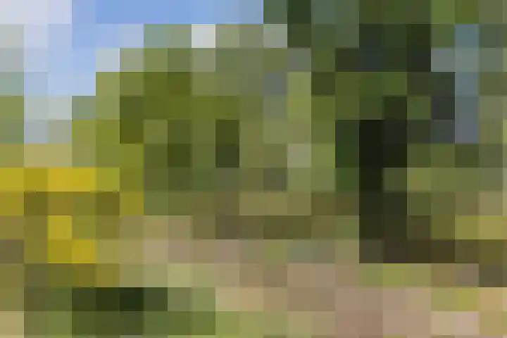 Kanaalweg N.Z. 1 Rossum thumbnail 53