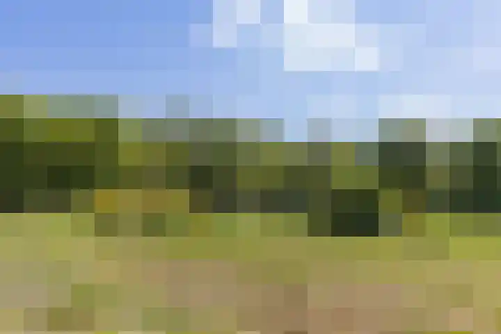 Kanaalweg N.Z. 1 Rossum thumbnail 54