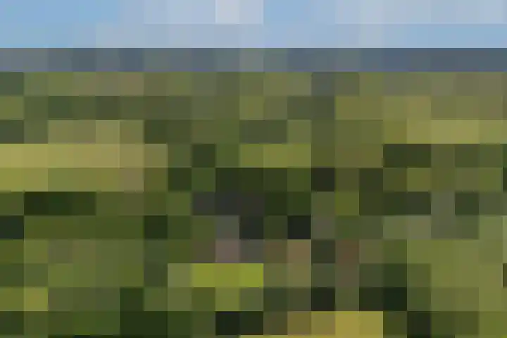 Kanaalweg N.Z. 1 Rossum thumbnail 55