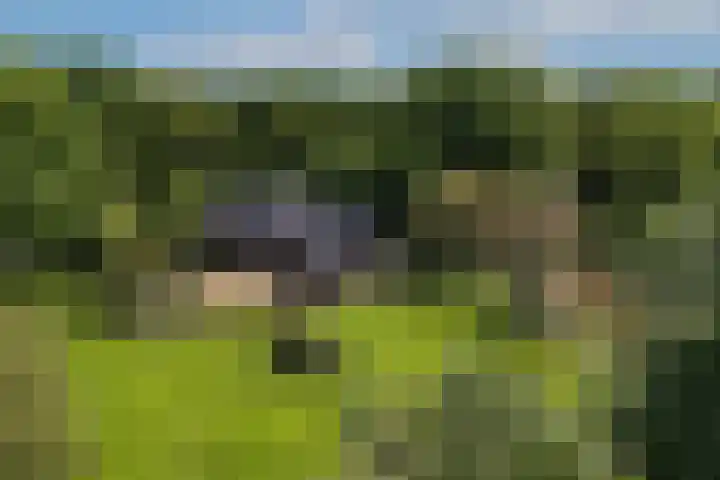 Kanaalweg N.Z. 1 Rossum thumbnail 65