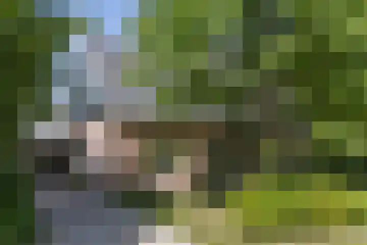 Kanaalweg N.Z. 1 Rossum thumbnail 7