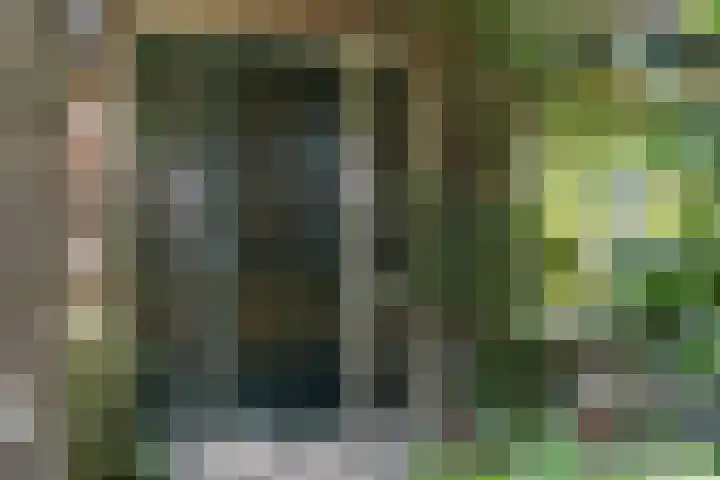 Kanaalweg N.Z. 1 Rossum thumbnail 9