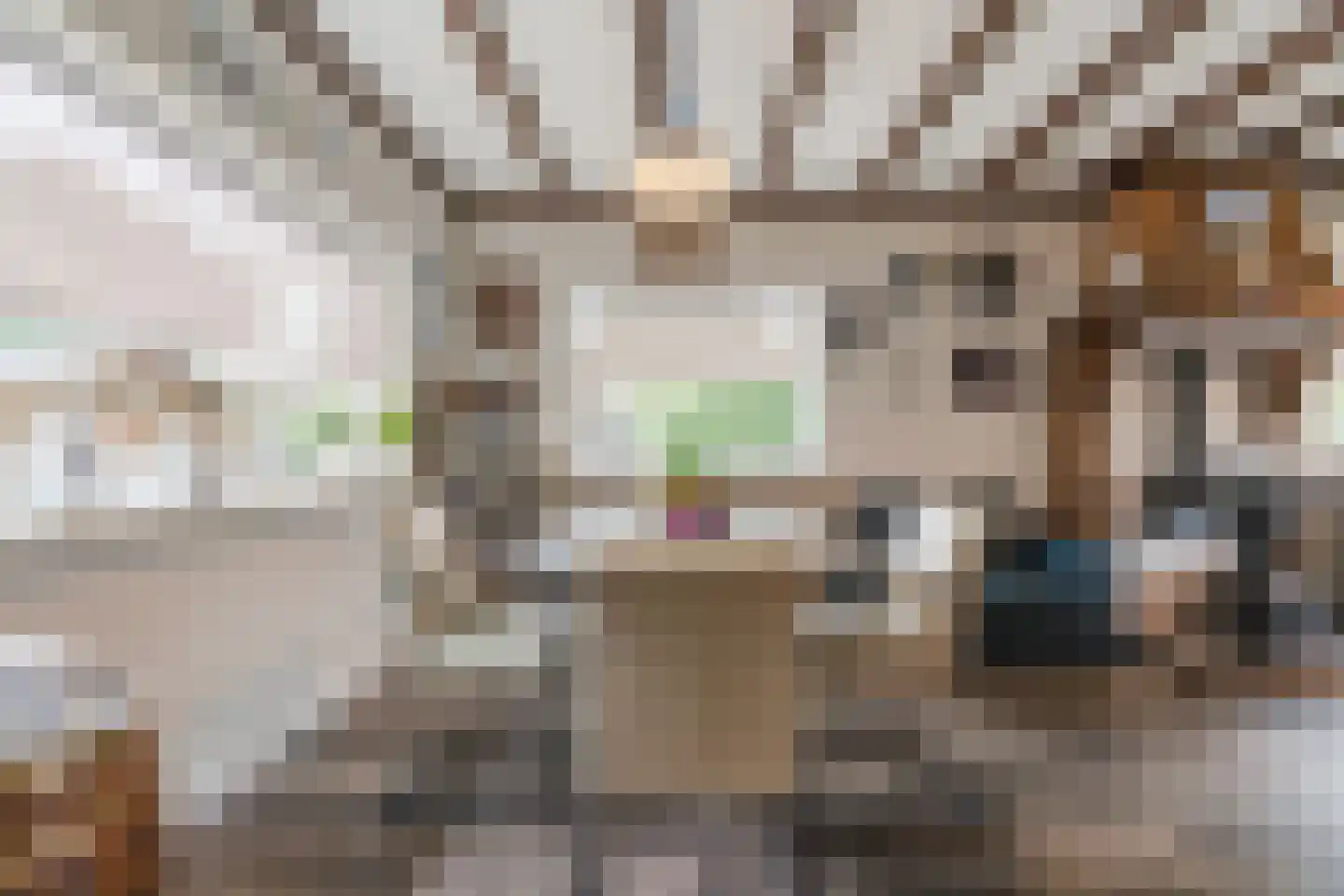 Kanaalweg Noord 32 Vriezenveen thumbnail 12