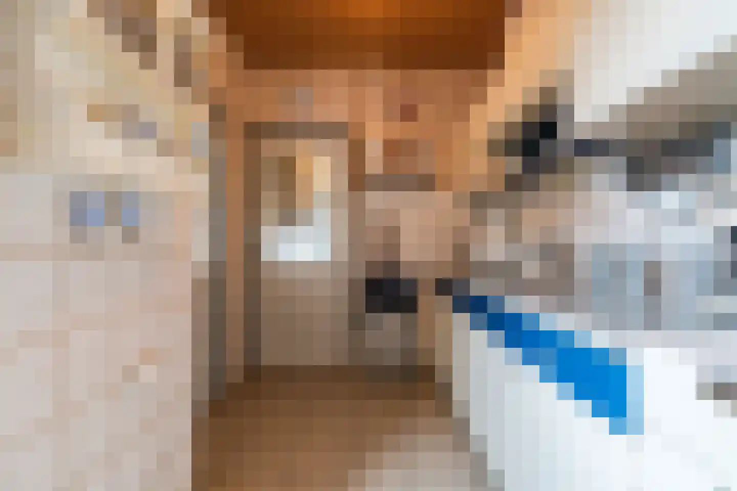 Kanaalweg Noord 32 Vriezenveen thumbnail 14