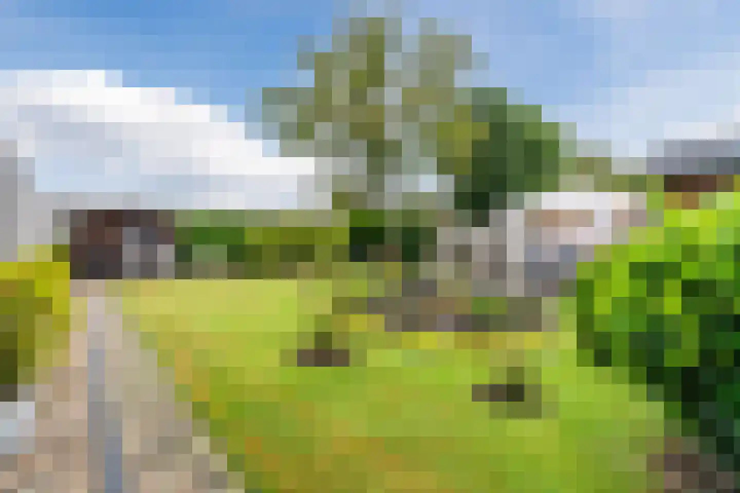 Kanaalweg Noord 32 Vriezenveen thumbnail 29