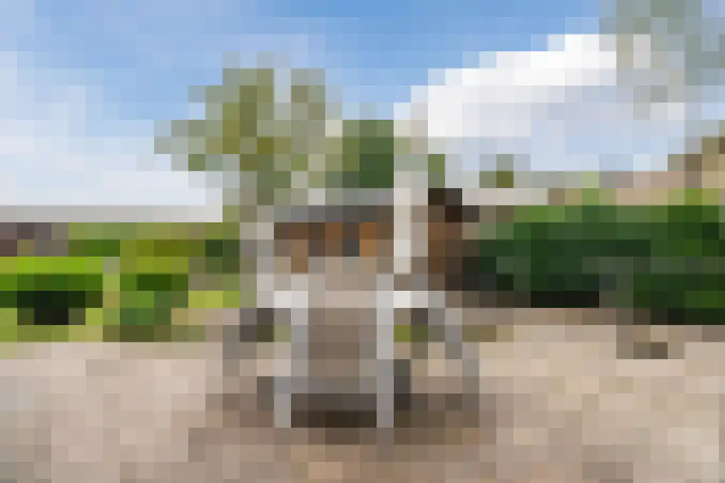 Kanaalweg Noord 32 Vriezenveen thumbnail 30