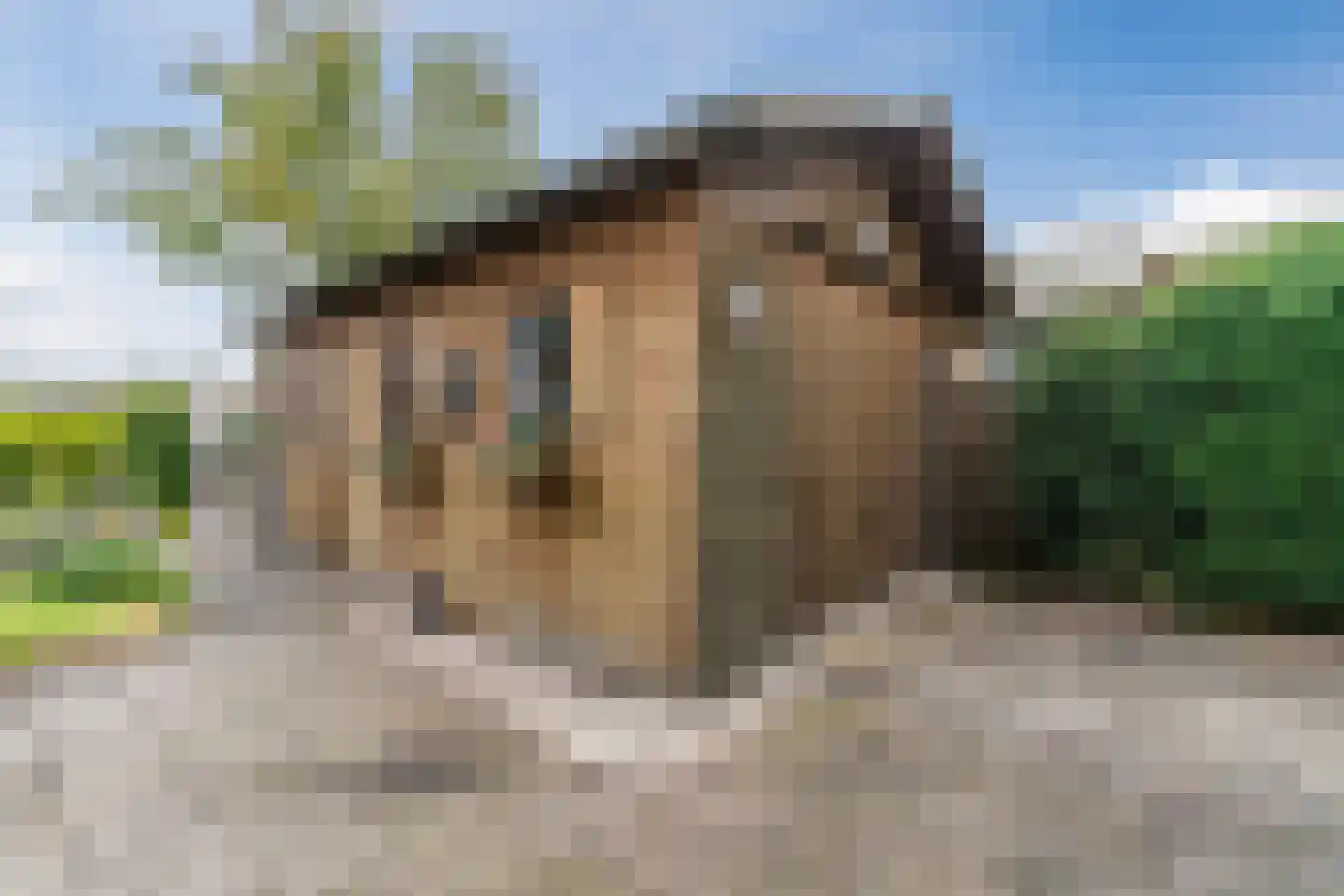 Kanaalweg Noord 32 Vriezenveen thumbnail 31