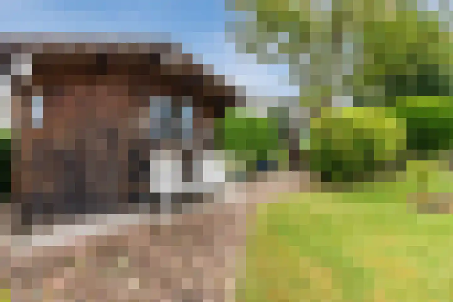 Kanaalweg Noord 32 Vriezenveen thumbnail 38