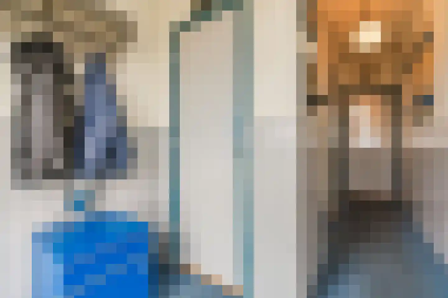 Kanaalweg Noord 32 Vriezenveen thumbnail 6