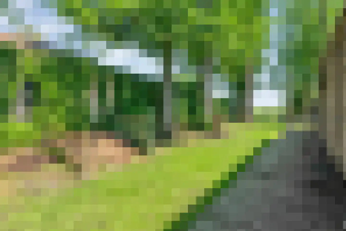 Kanaalweg-Oost 26 Bergentheim thumbnail 60