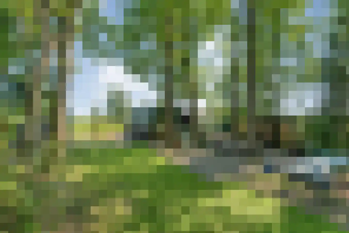 Kanaalweg-Oost 26 Bergentheim thumbnail 64