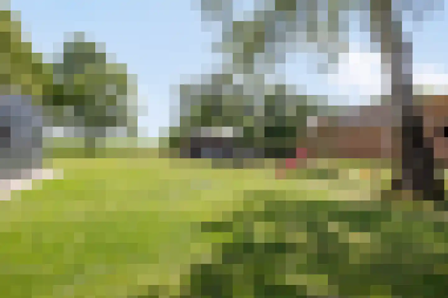 Kanaalweg-Oost 42 Bergentheim thumbnail 31