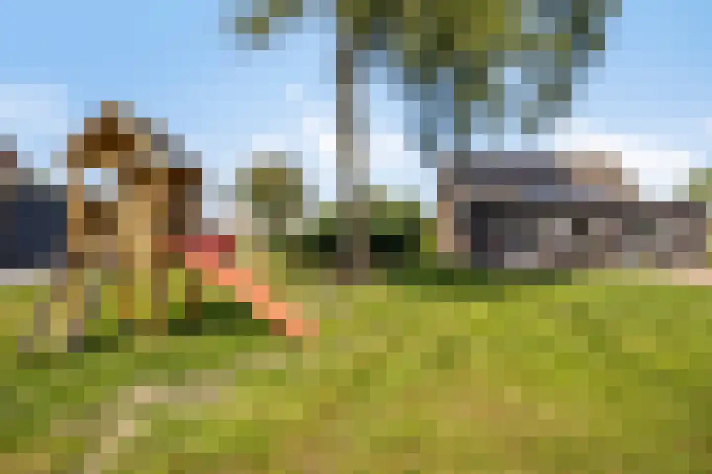 Kanaalweg-Oost 42 Bergentheim thumbnail 33