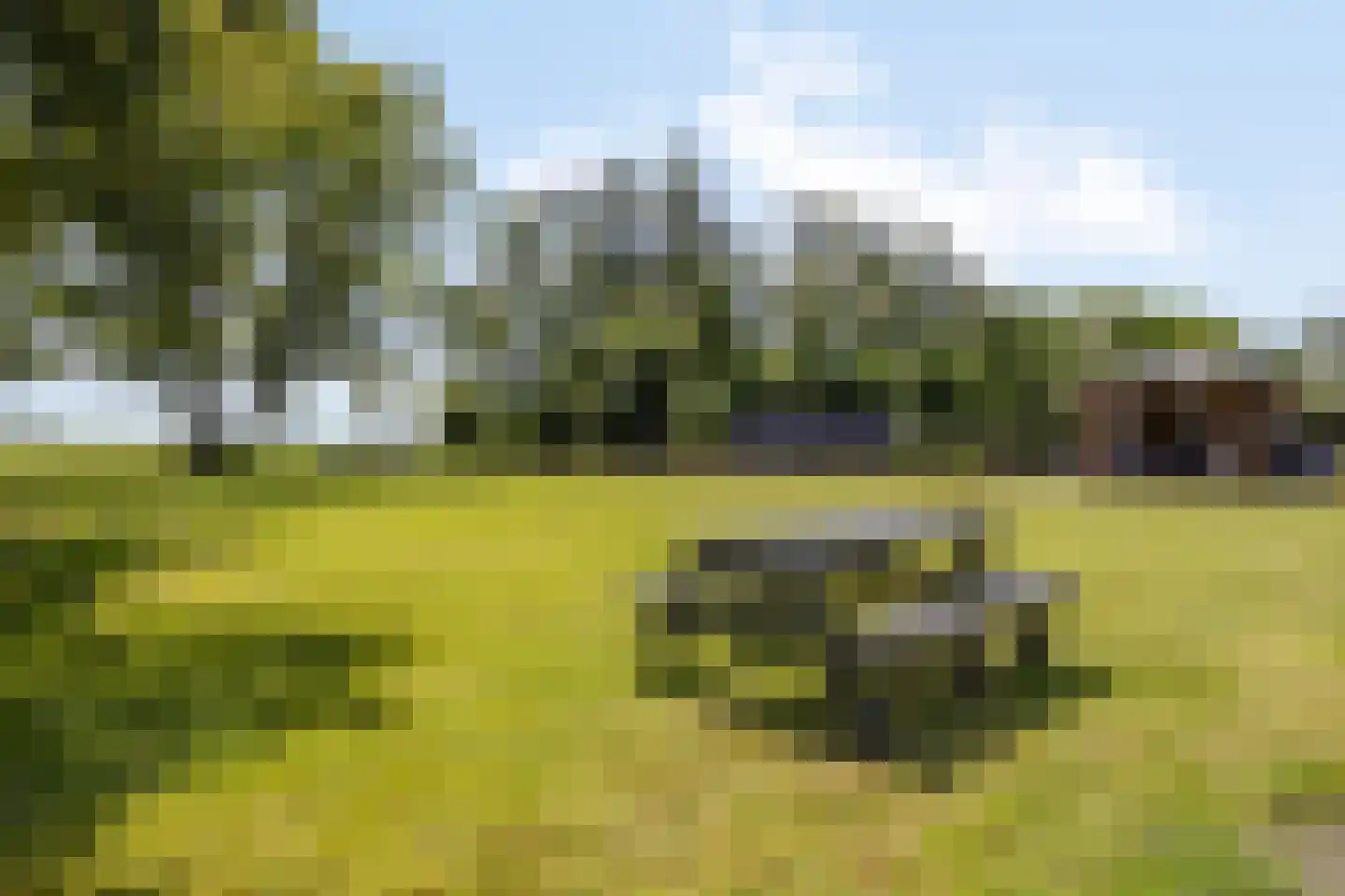Kanaalweg-Oost 42 Bergentheim thumbnail 39