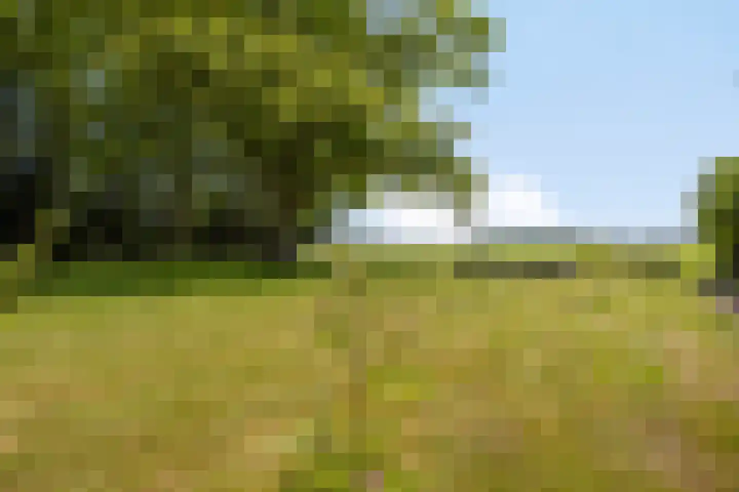 Kanaalweg-Oost 42 Bergentheim thumbnail 41