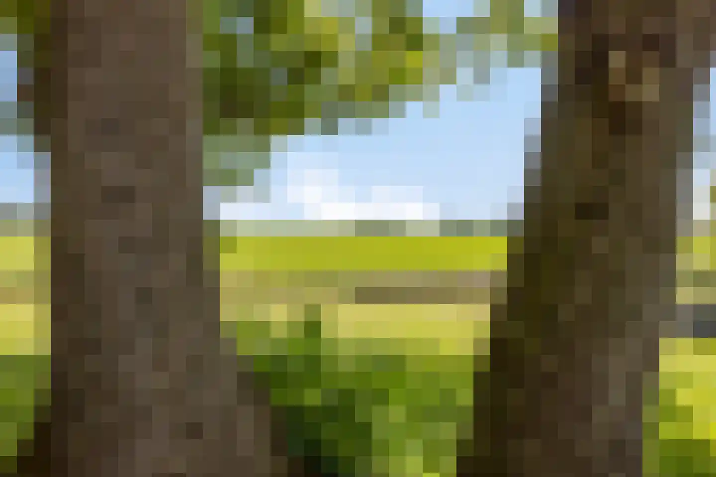 Kanaalweg-Oost 42 Bergentheim thumbnail 43