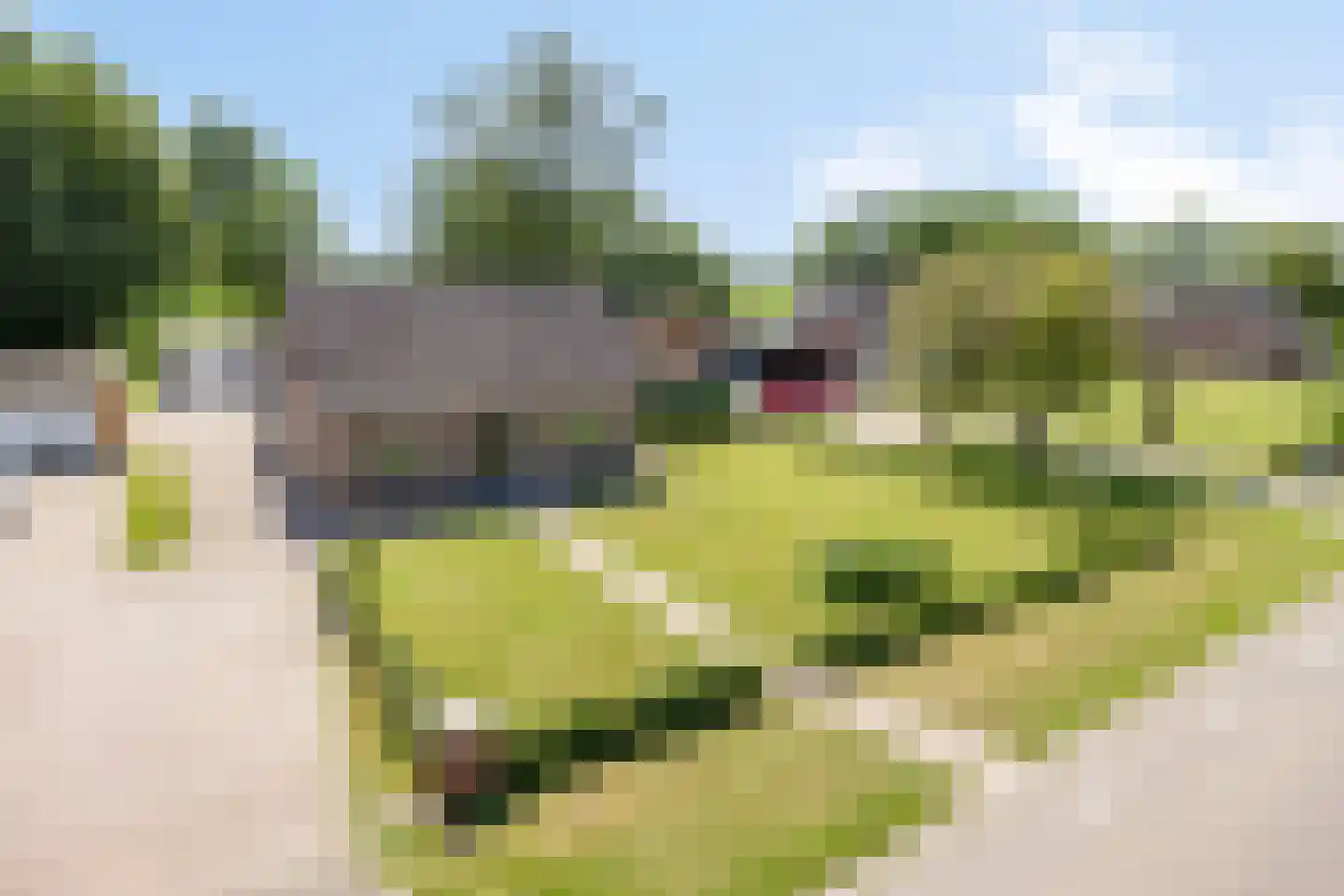 Kanaalweg-Oost 42 Bergentheim thumbnail 51