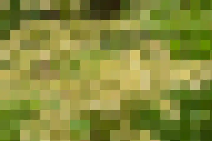 Kanaalweg Oostzijde 160 Hellevoetsluis thumbnail 46