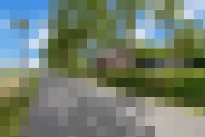 Kanaalweg Oostzijde 160 Hellevoetsluis thumbnail 7