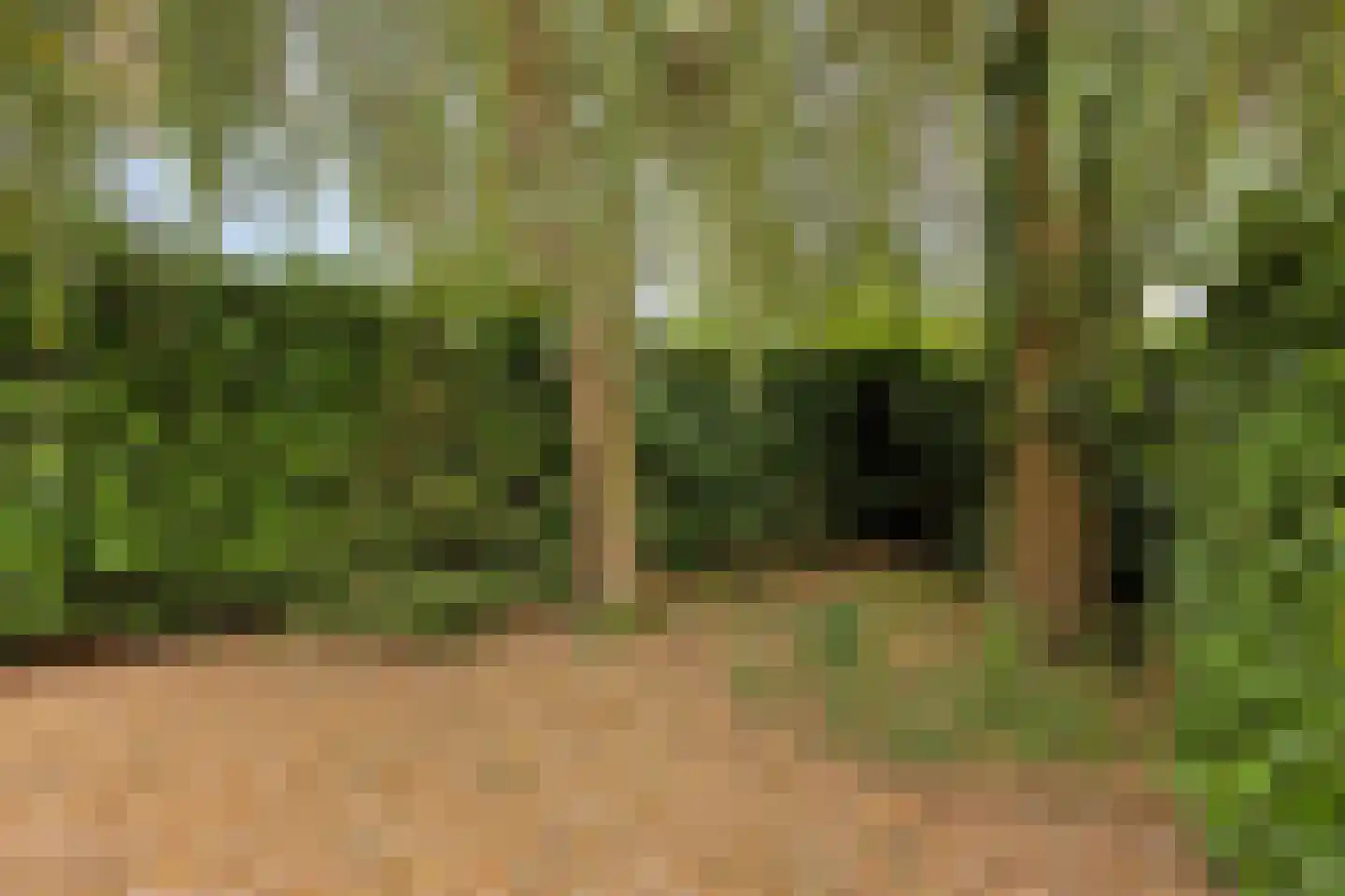 Kanaalweg-West 29 f Bergentheim thumbnail 31