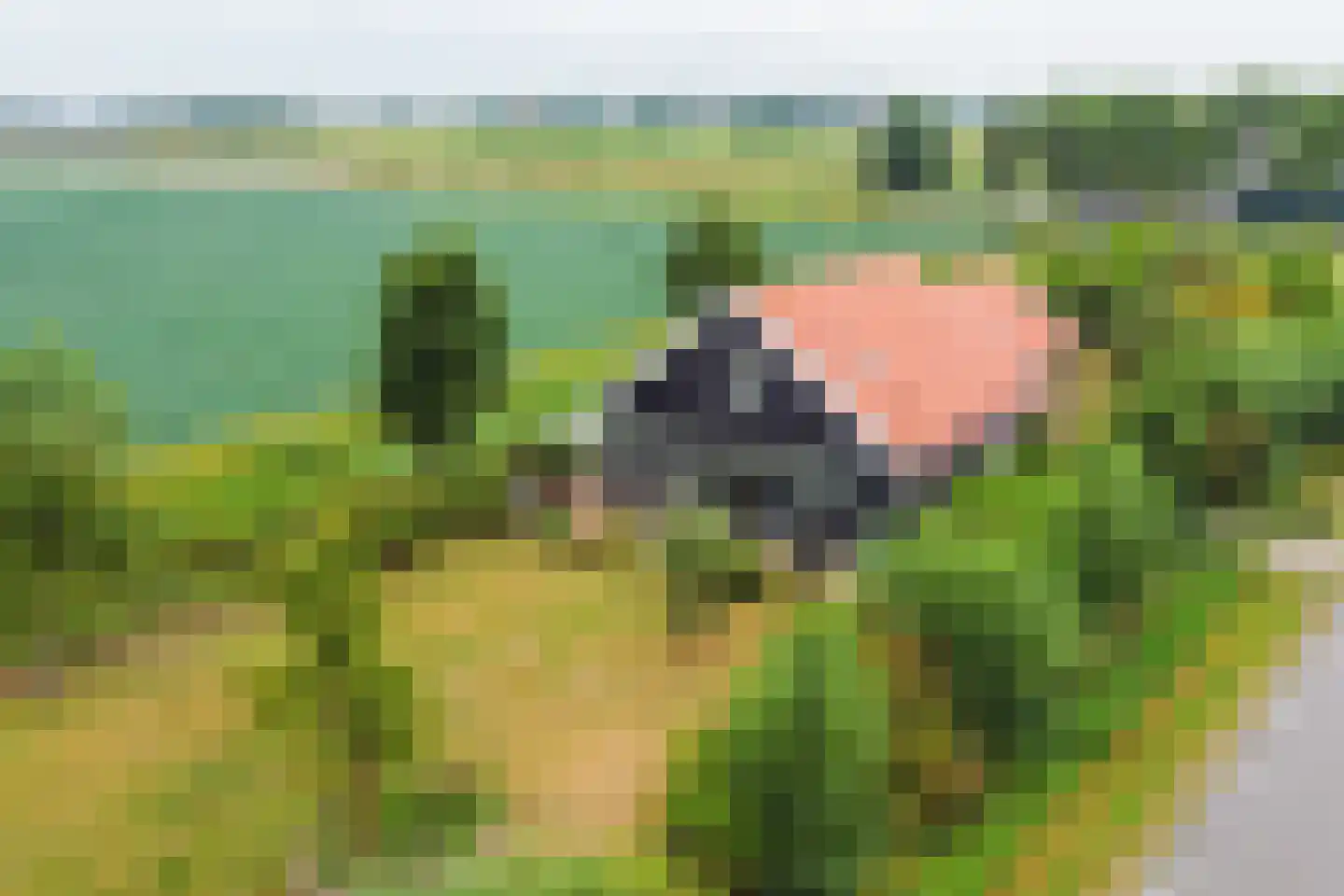 Kanaalweg Westzijde 59 in Hellevoetsluis