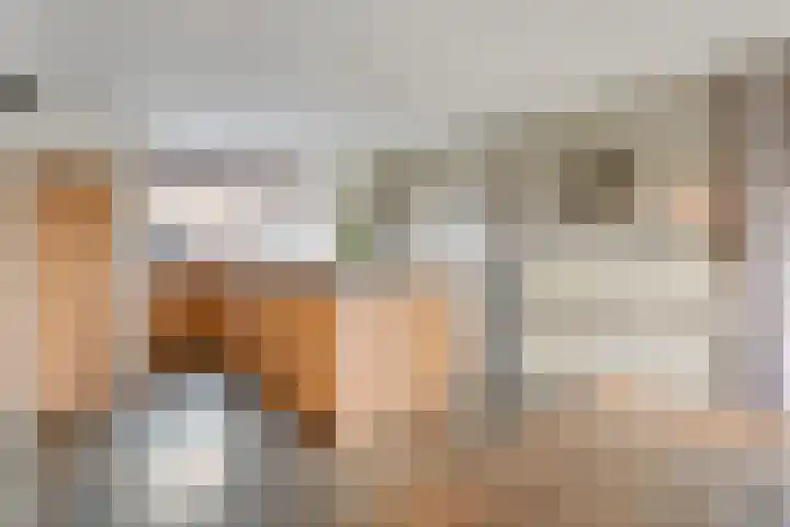 Kanaalweg Zuid 65 Vriezenveen thumbnail 6