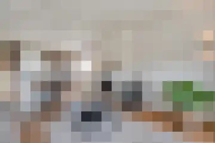 Kanaalweg Zuid 65 Vriezenveen thumbnail 9