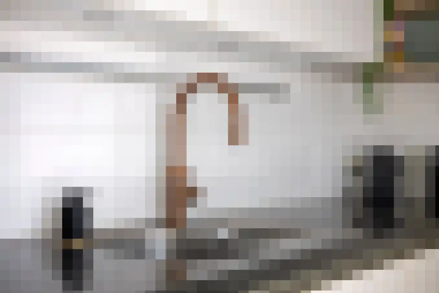 Kanaalweide 20 Philippine thumbnail 13