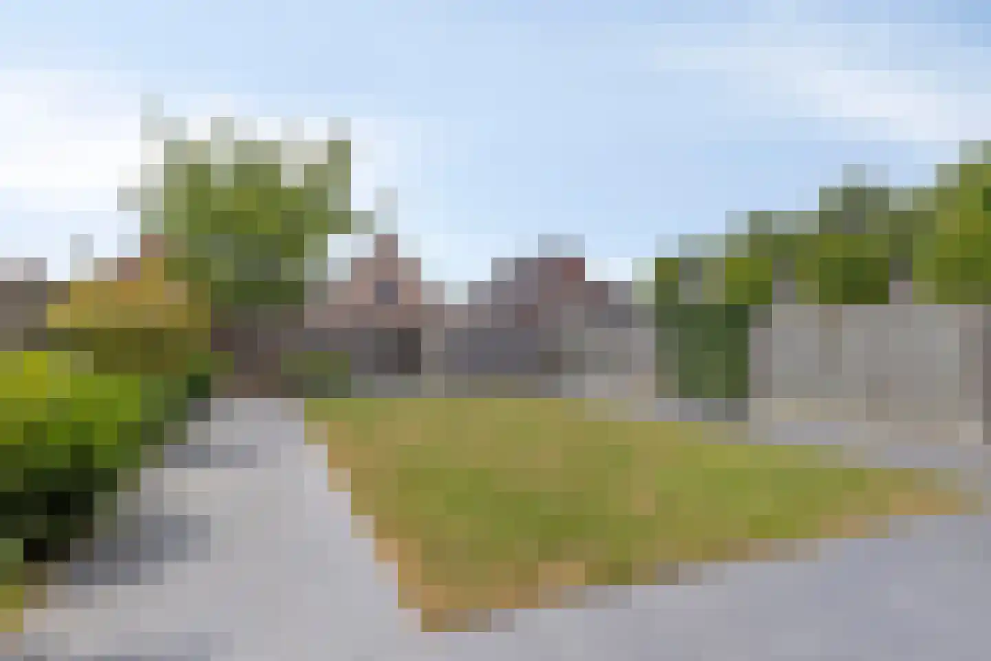 Kanaalweide 20 Philippine thumbnail 33