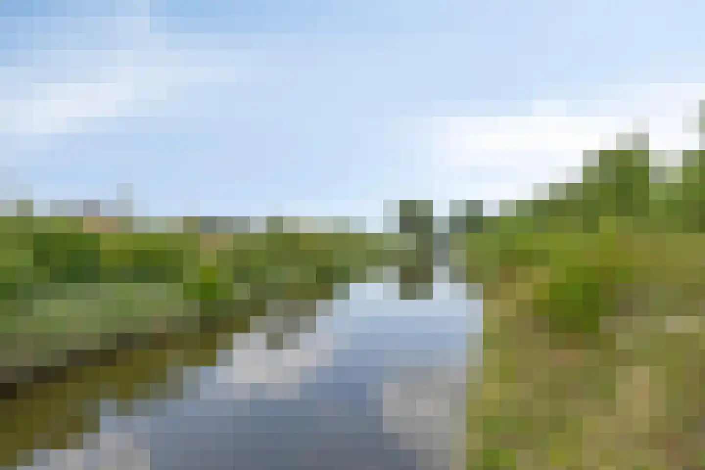 Kanaalweide 20 Philippine thumbnail 37