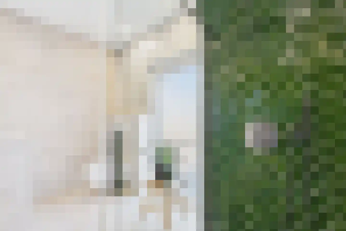 Kanaalzicht 29 Sluiskil thumbnail 24